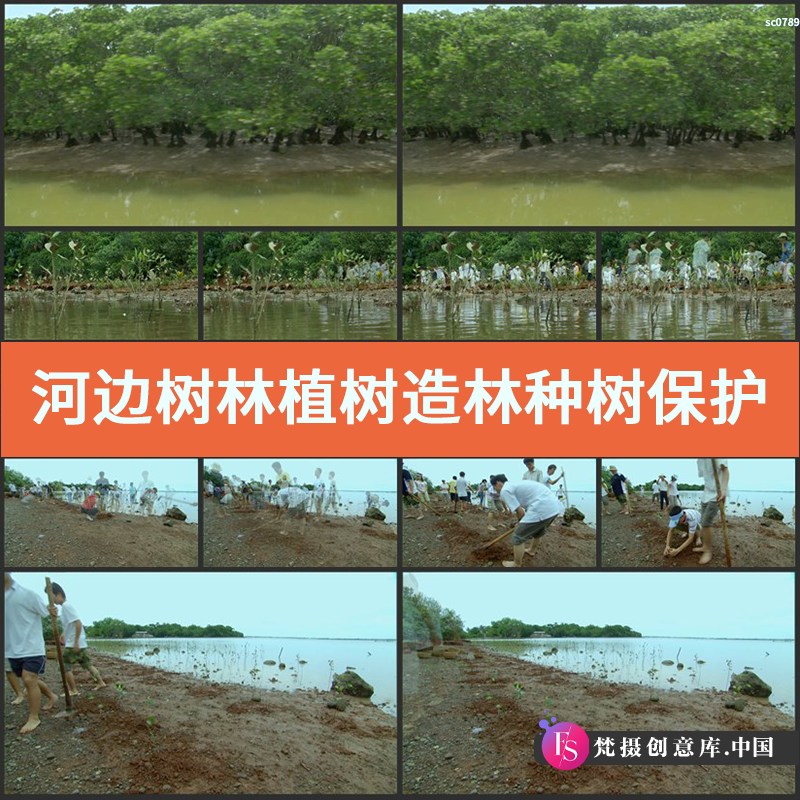 河边树林植树造林种树 保护环境 影视动态宣传片视频高清实拍素材-梵摄创意库