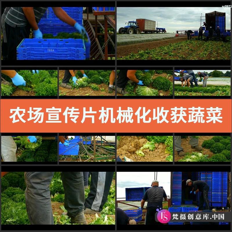 农场宣传片 机械化收获蔬菜 现代化绿色农场 无污染 实拍视频素材-梵摄创意库