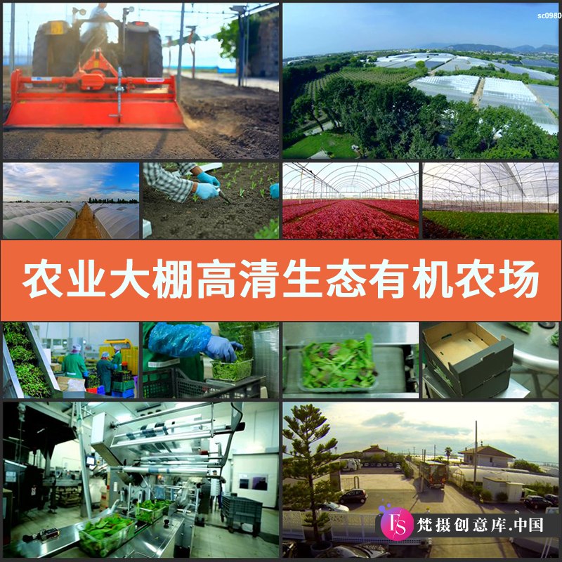 农业大棚高清实拍生态有机农场蔬菜种植采摘加工视频素材