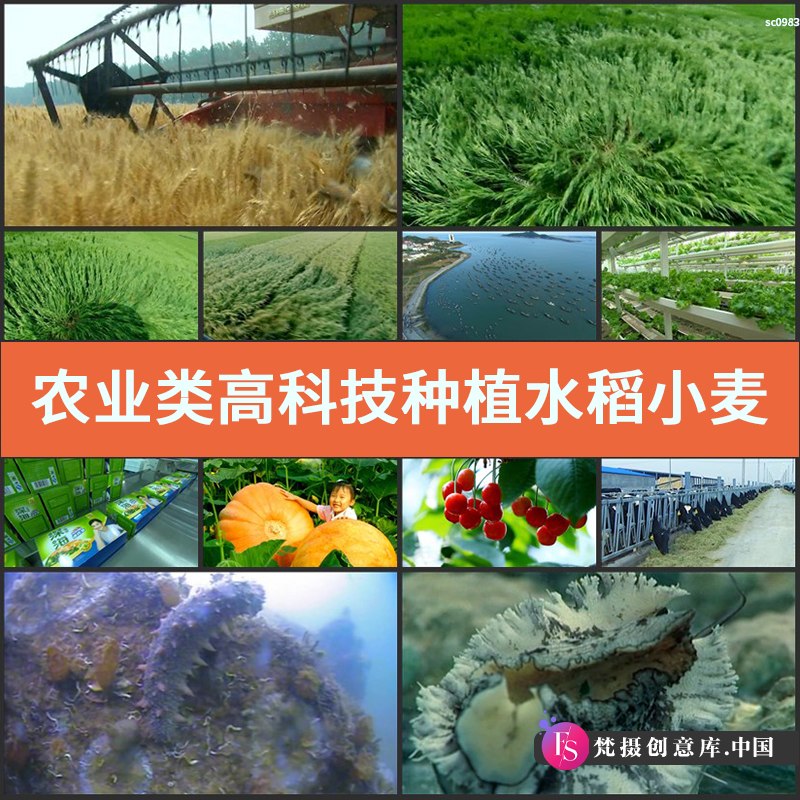 农业类高科技种植水稻小麦茶园果园蔬菜玉米粮食丰收高清视频素材