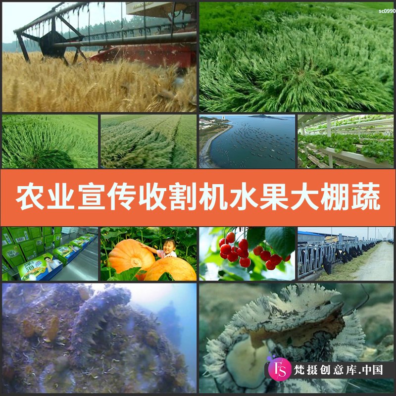 农业宣传收割机水果大棚蔬菜水产养殖海产品生产高清实拍视频素材