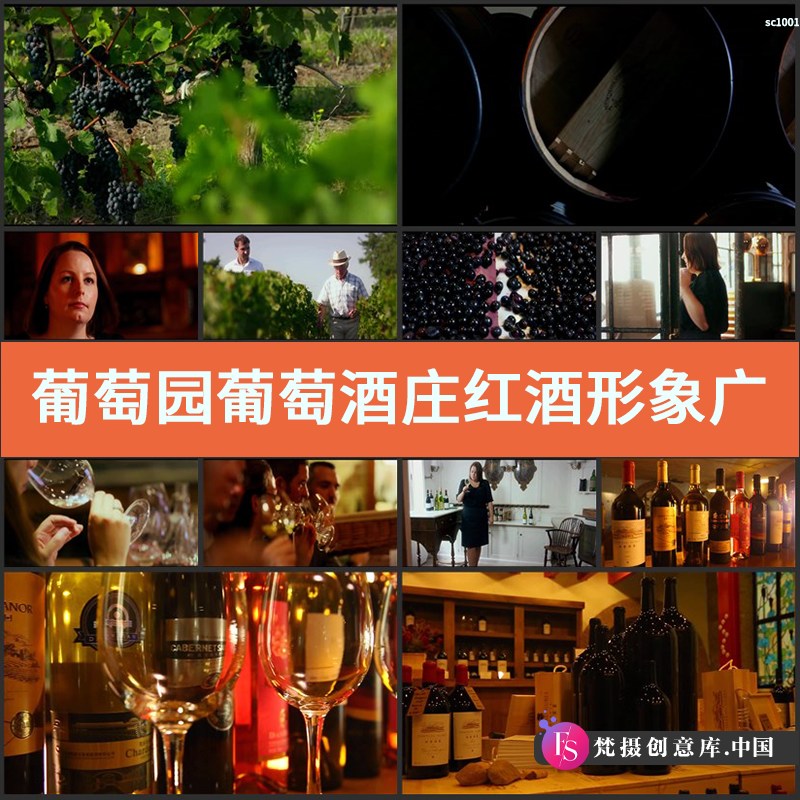 葡萄园葡萄酒庄红酒形象广告片高清实拍红酒品干红酒实拍视频素材