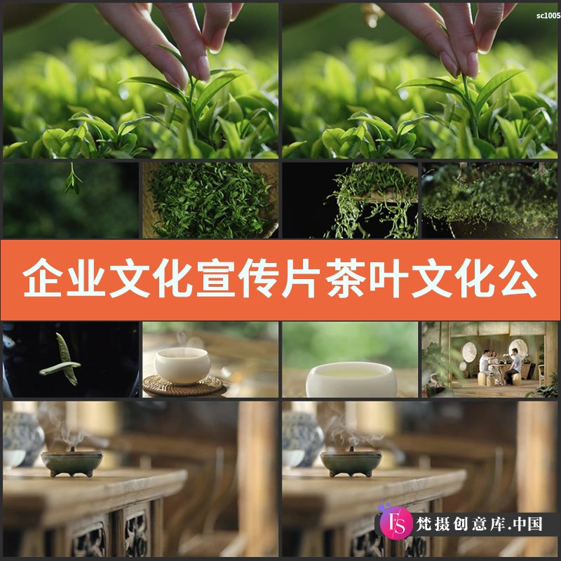 企业文化宣传片 茶叶文化公司 采茶泡茶茶农茶园 实拍视频素材