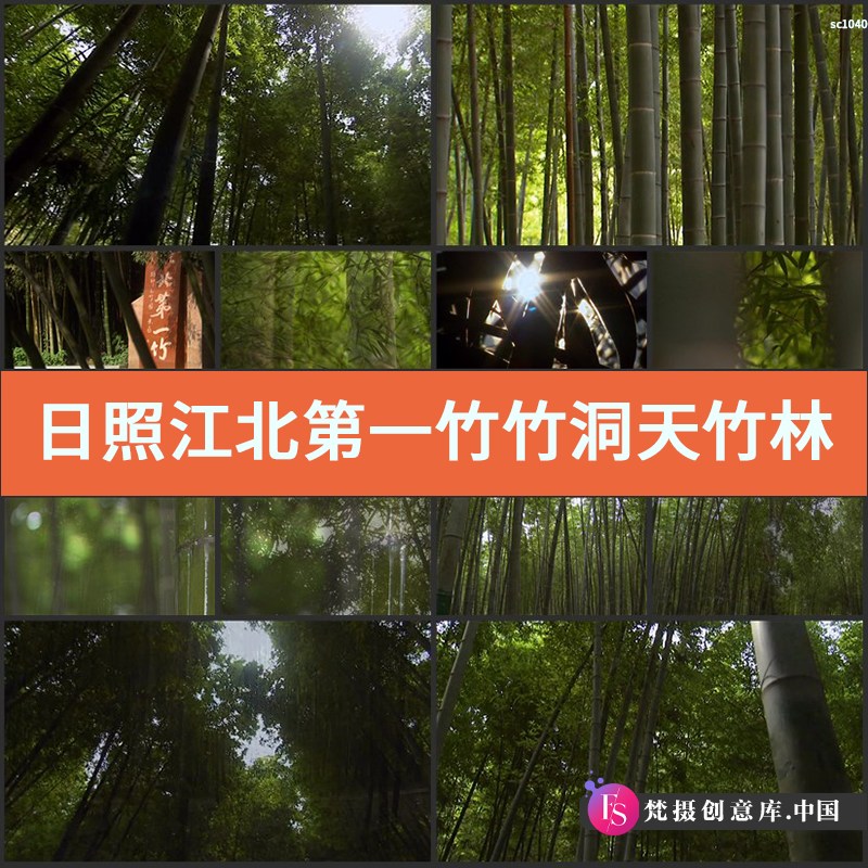 日照 江北第一竹 竹洞天 竹林竹子 高清实拍视频素材