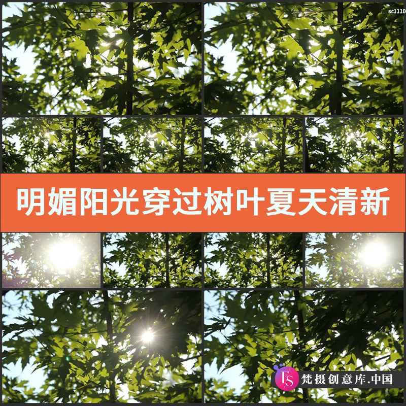 实拍明媚阳光穿过树叶 夏天 清新树叶 视频素材-梵摄创意库