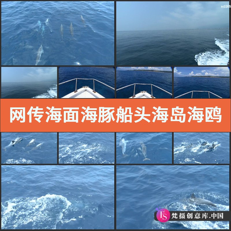 网传 海面海豚 船头 海岛 海鸥客轮 海天一色 中国高清视频素材