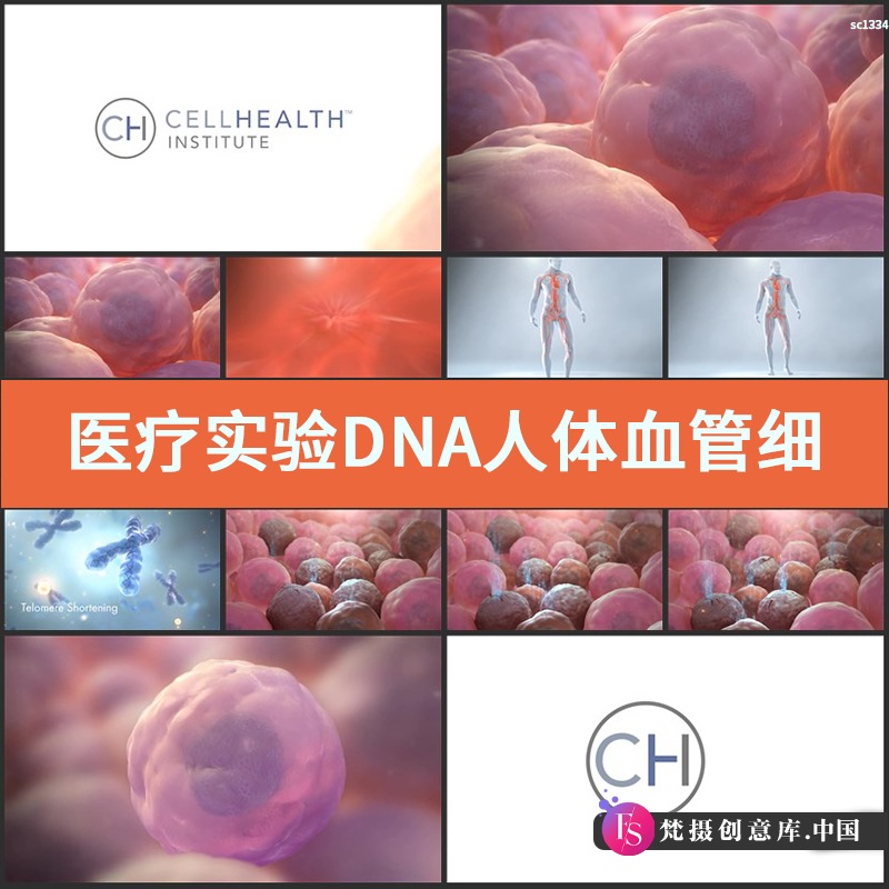 医疗实验视频素材DNA人体血管细胞科研显微镜生物分子基因