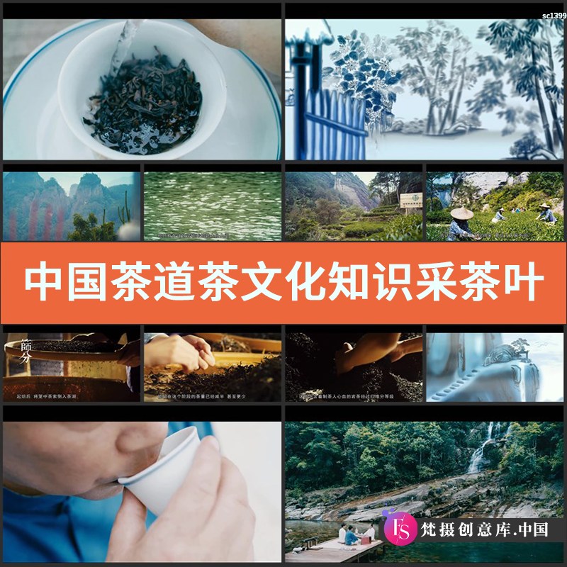 图片[1]-中国茶道茶文化知识采茶叶制作品茶过程宣传片实拍高清视频素材-梵摄创意库