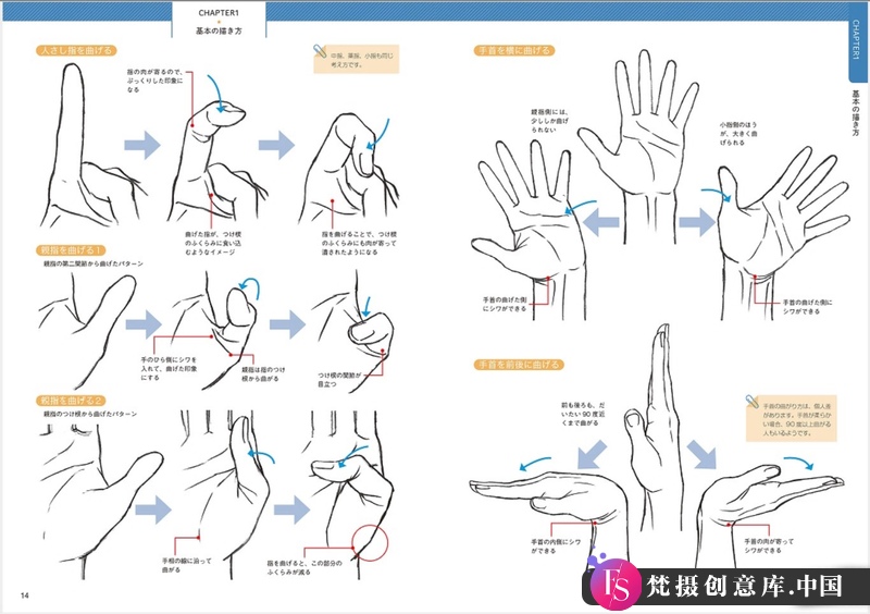 图片[8]-加々美高浩 手的画法-创作学习-59MB-74P-11PDF-梵摄创意库