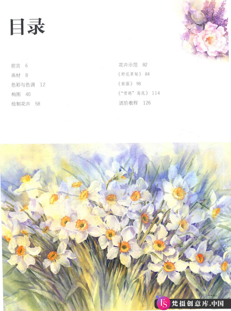 图片[4]-温迪 泰特 花卉植物水彩-创作学习-125MB-148P-1PDF-梵摄创意库