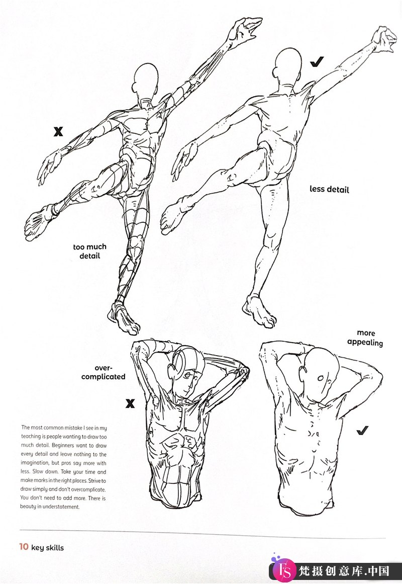 图片[4]-艺术家解剖学 绘画形式和姿势-创作学习-531M-297-梵摄创意库