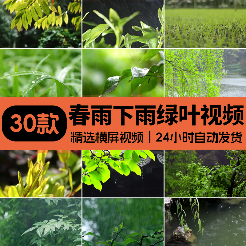 春雨下雨雨滴树叶春季春天绿叶雨滴树叶植物复苏意境实拍视频素材