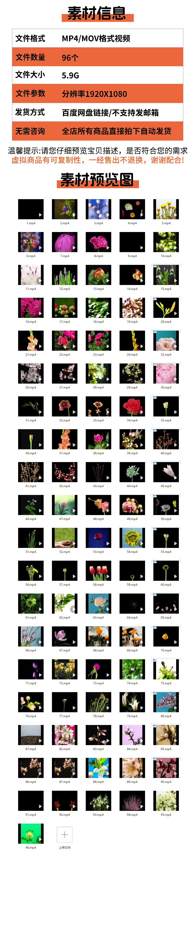 图片[2]-春天鲜花盛开生长过程延时发芽开花植物春暖花开绽放实拍视频素材-梵摄创意库