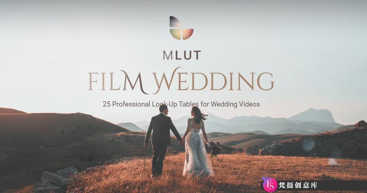 经典电影婚礼LUT预设 mLUT Film Wedding – 25 Professional LUT Pack