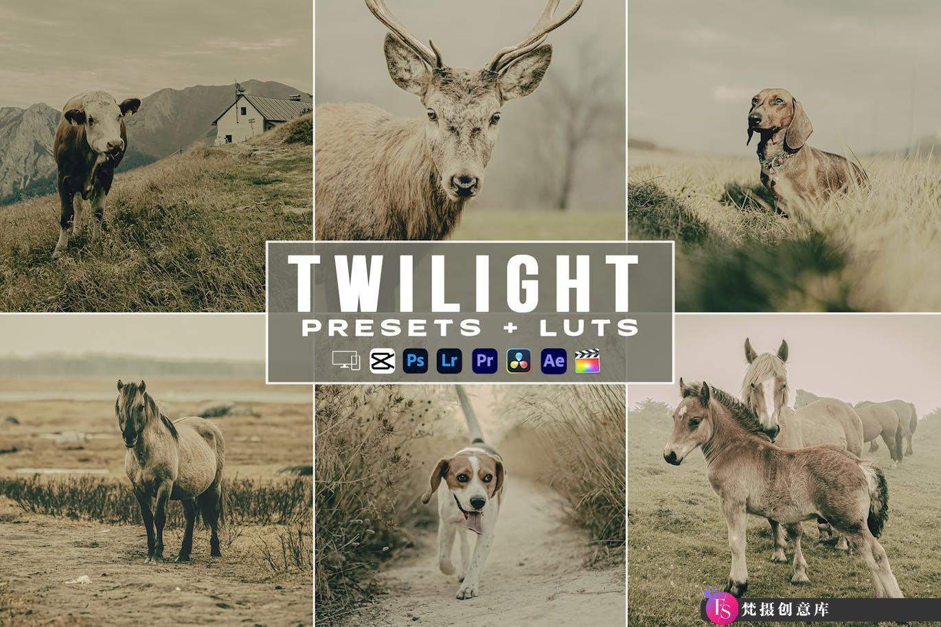 动物风光电影视频后期调色LUT预设 Twilight Lightroom Presets luts