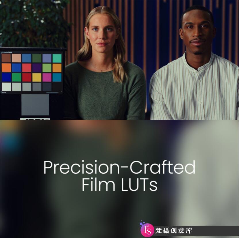 电影仿真LUT预设Colorist Factory Precision Crafted Film Emulation LUT(2024)