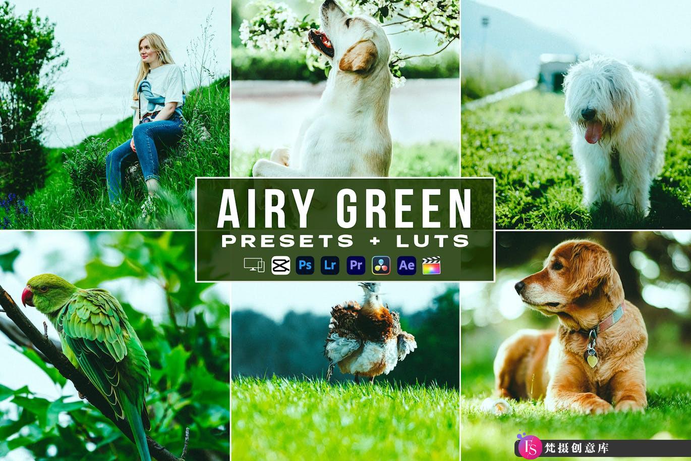 仙气飘飘清新绿色电影视频调色LUT预设 Airy Green Presets – luts