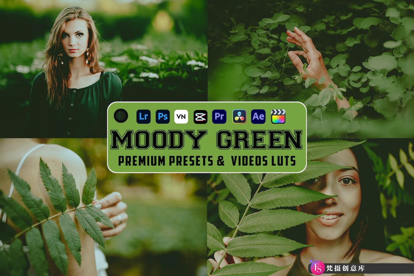 情绪绿色调电影调色LUT预设 片Moody Green Luts Videos & Presets