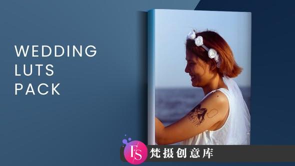 电影婚礼视频剪映达芬奇LUT预设 Wedding Luts Pack