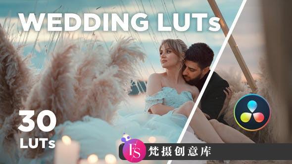 30个专业的电影婚礼大片调色LUT预设 30 WEDDING LUTs