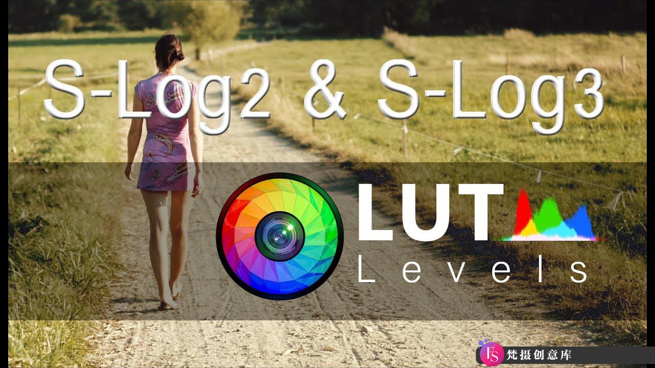 S-Log2 & S-Log3 色彩校正LUT预设 Levels LUT Video LUTs预设