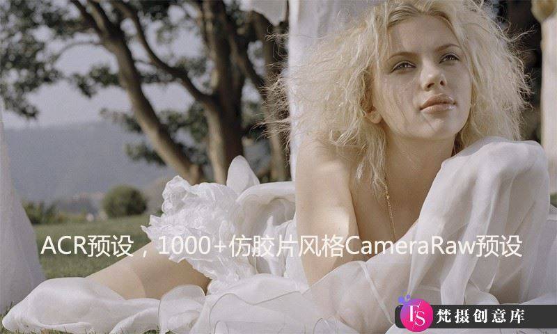 1000个CameraRaw(ACR)预设-大师级仿胶片风格CameraRaw预设下载-梵摄创意库