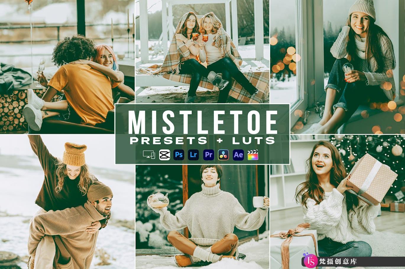 经典电影大色调LUT预设/Lr预设 Mistletoe Filme Video Lut-梵摄创意库