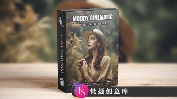 城市街头电影大片调色LUT预设 Street Cinematic Moody Videography LUTs-梵摄创意库