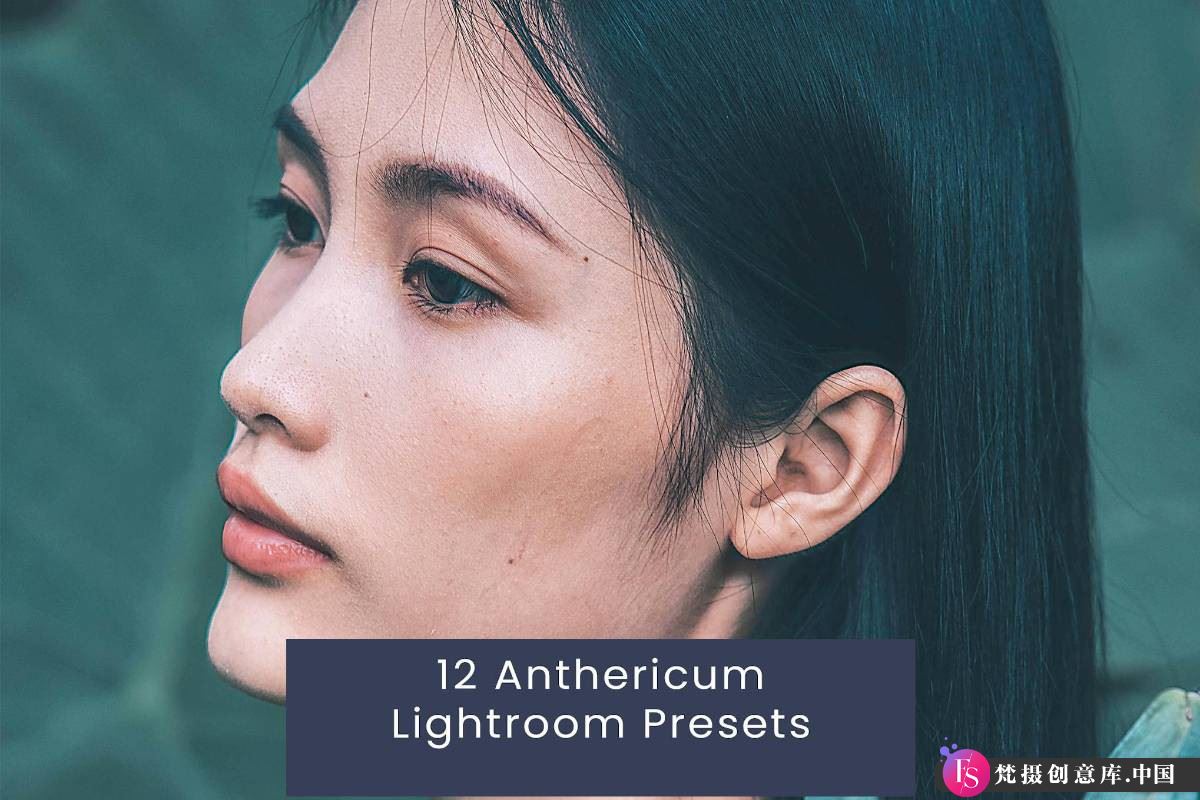 时尚胶片风人像后期调色：Anthericum Lightroom预设，打造专业级人像LR预设效果-梵摄创意库