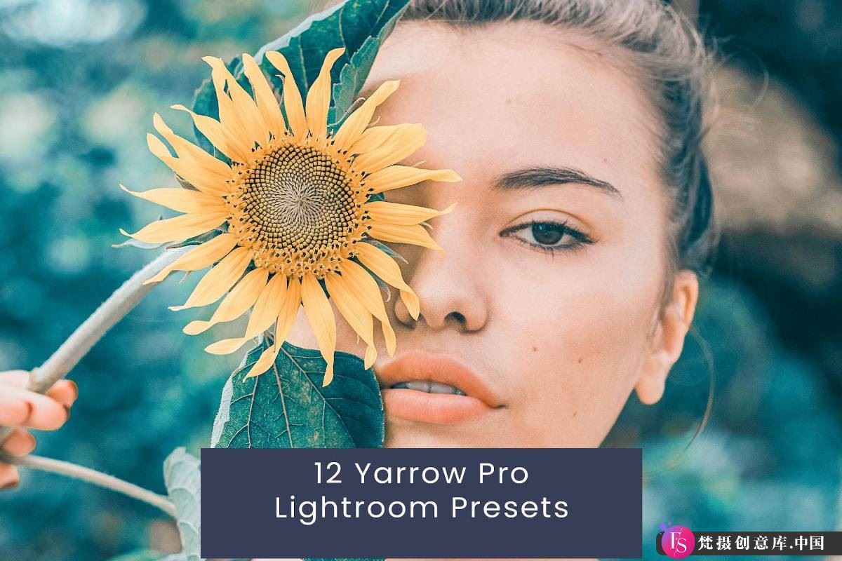 复古胶片风格LR预设：Yarrow Pro专业人像Lightroom预设，完美呈现外拍效果-梵摄创意库