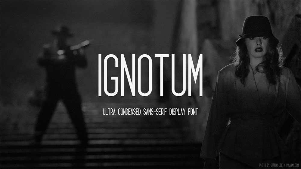 图片[1]-探索【Ignotum】SIL OFL免费英文字体：2种独特样式与308个精美字形等你来用！-梵摄创意库