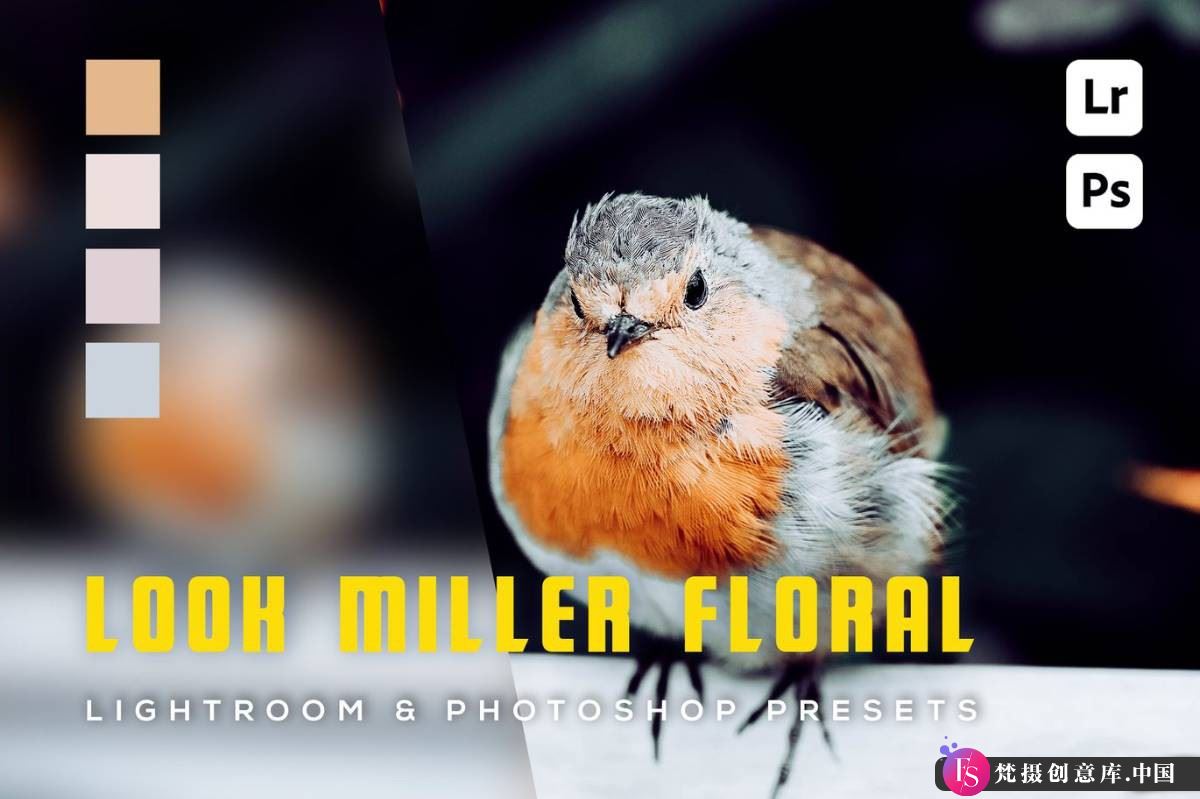 提升户外风光摄影效果的LR预设：Look Miller Floral调色方案分享