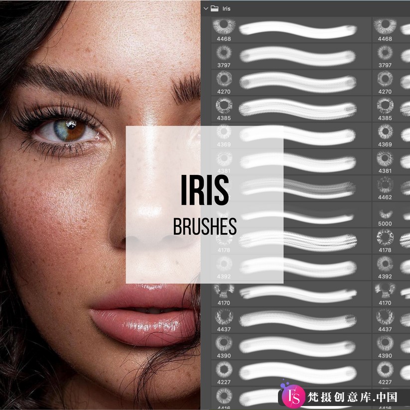 Tamara Williams超自然眼睛虹膜Photoshop笔刷，打造个性化妆效