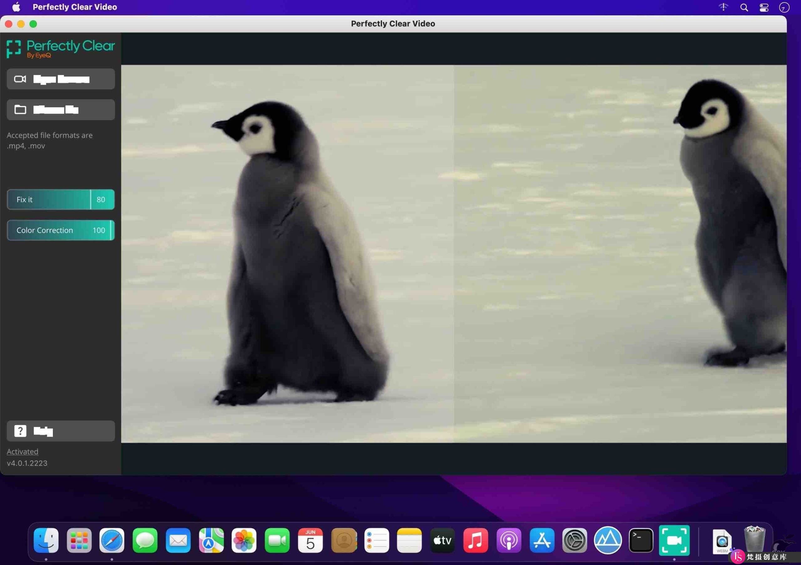 Perfectly Clear Video For Mac v4.6.0.2629 专业的视频清晰化处理软件-图片2