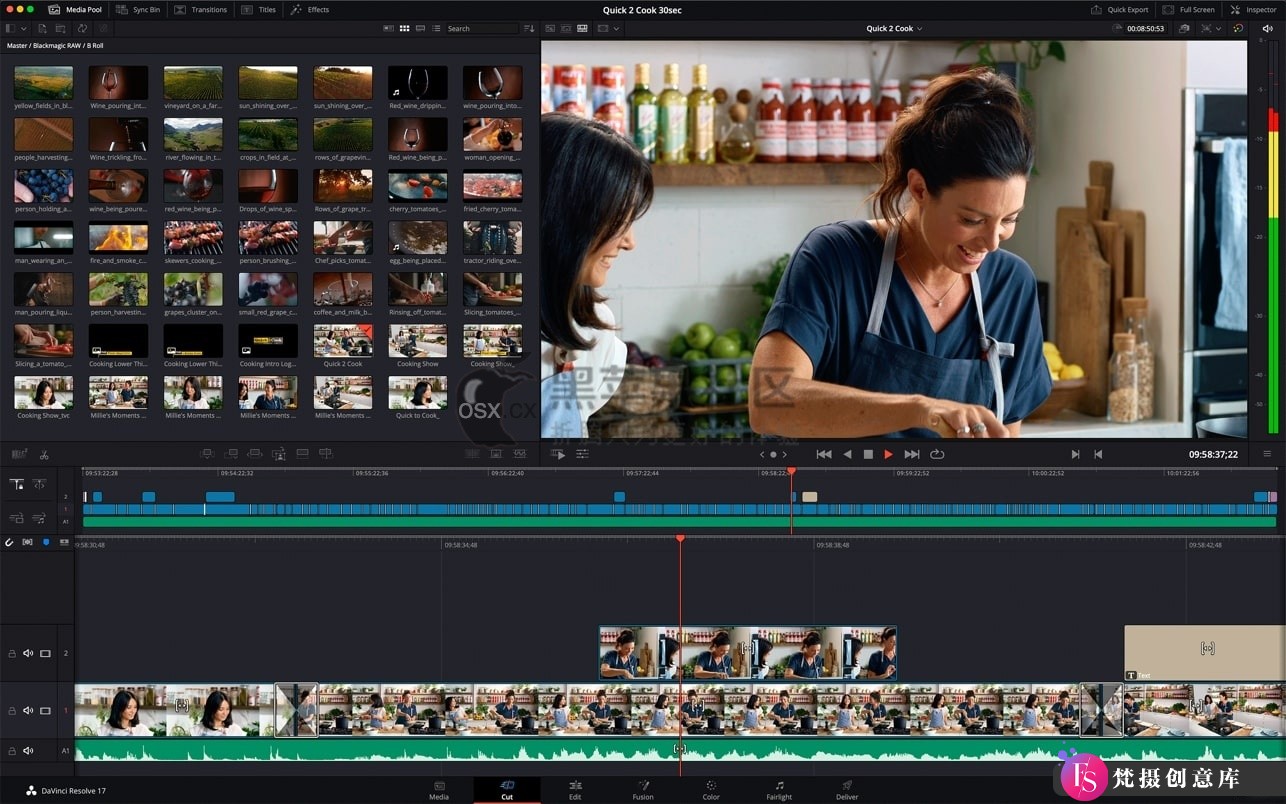 DaVinci Resolve Studio For Mac v19.0.3 全能的视频后期制作工具-图片2