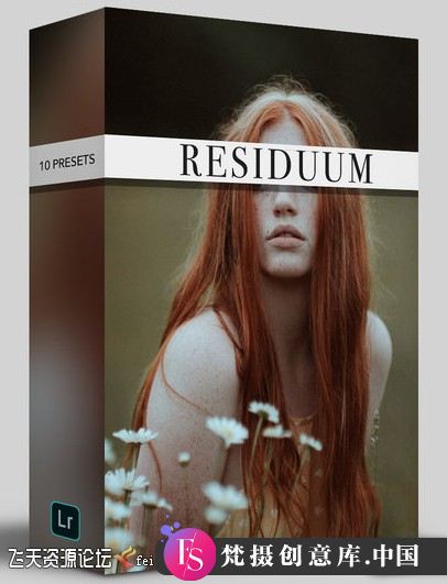 探索Steve Gindler的LR预设：Cvatik Residuum Styles为Capture One摄影增添新风采