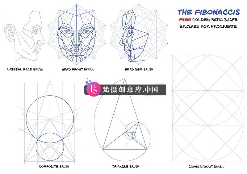 10+人脸黄金比例Procreate笔刷