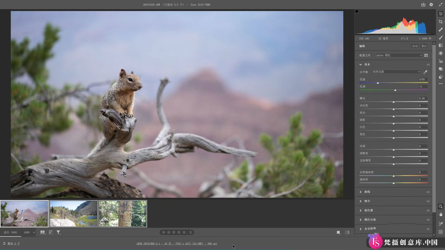 Adobe Camera Raw Win17.1 / Mac16.2