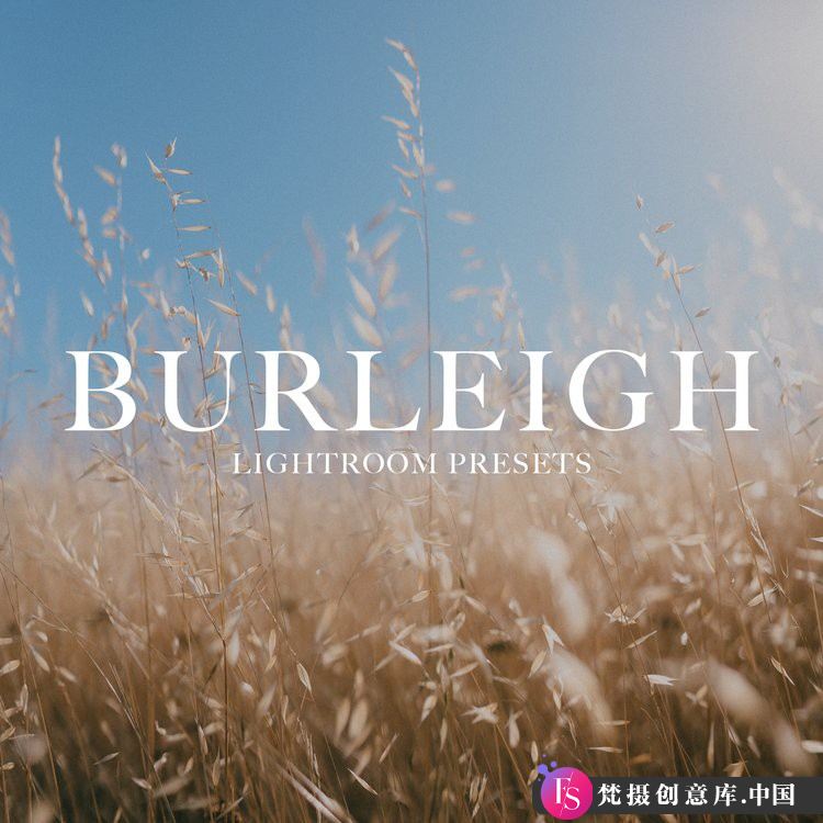 唯美人像LR预设：BURLEIGH去饱和干净风格