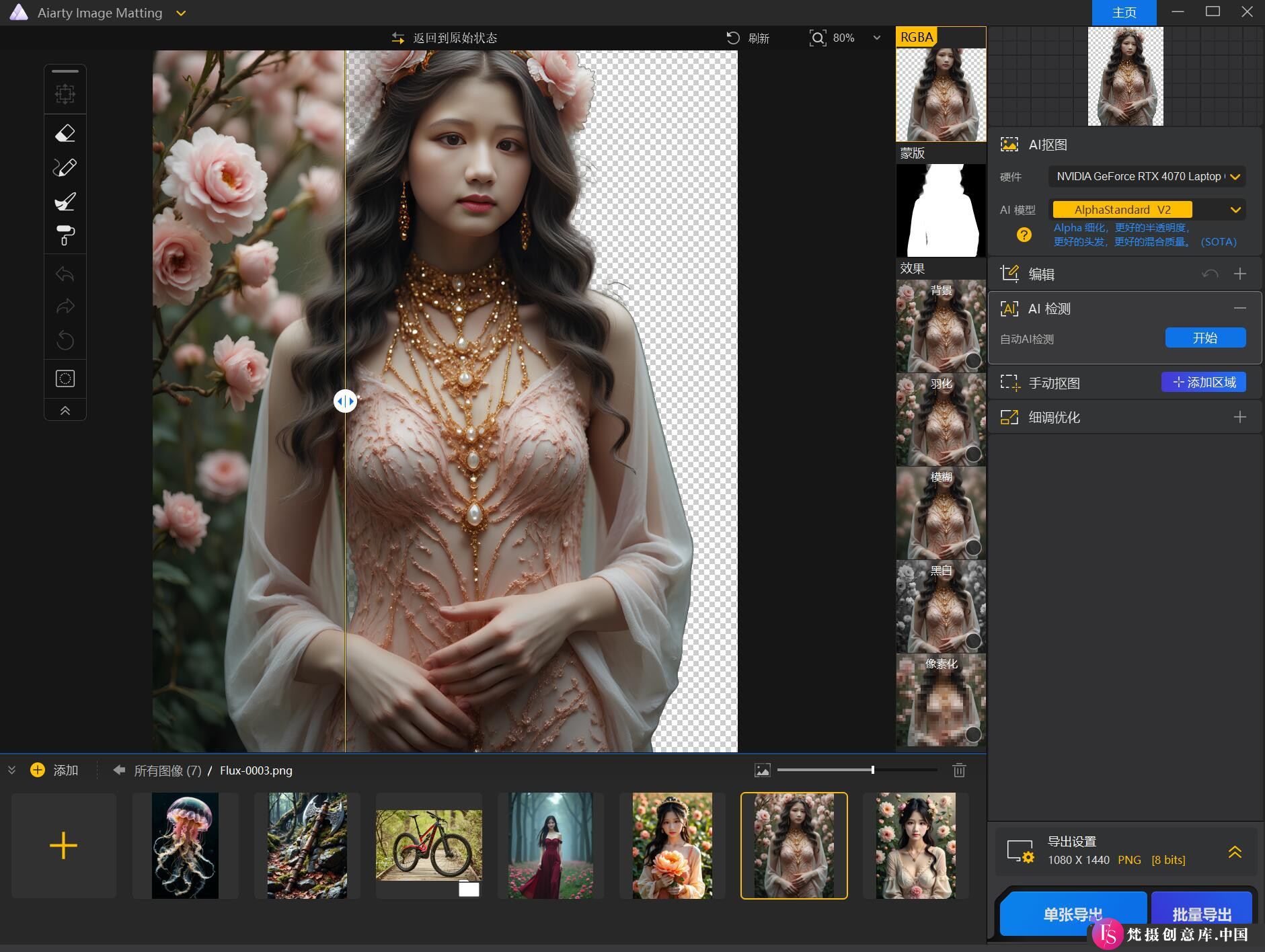 图片[5]-平面软件AI人工智能一键抠图软件Aiarty Image Matting v2.3.0汉化版WIN版-梵摄创意库