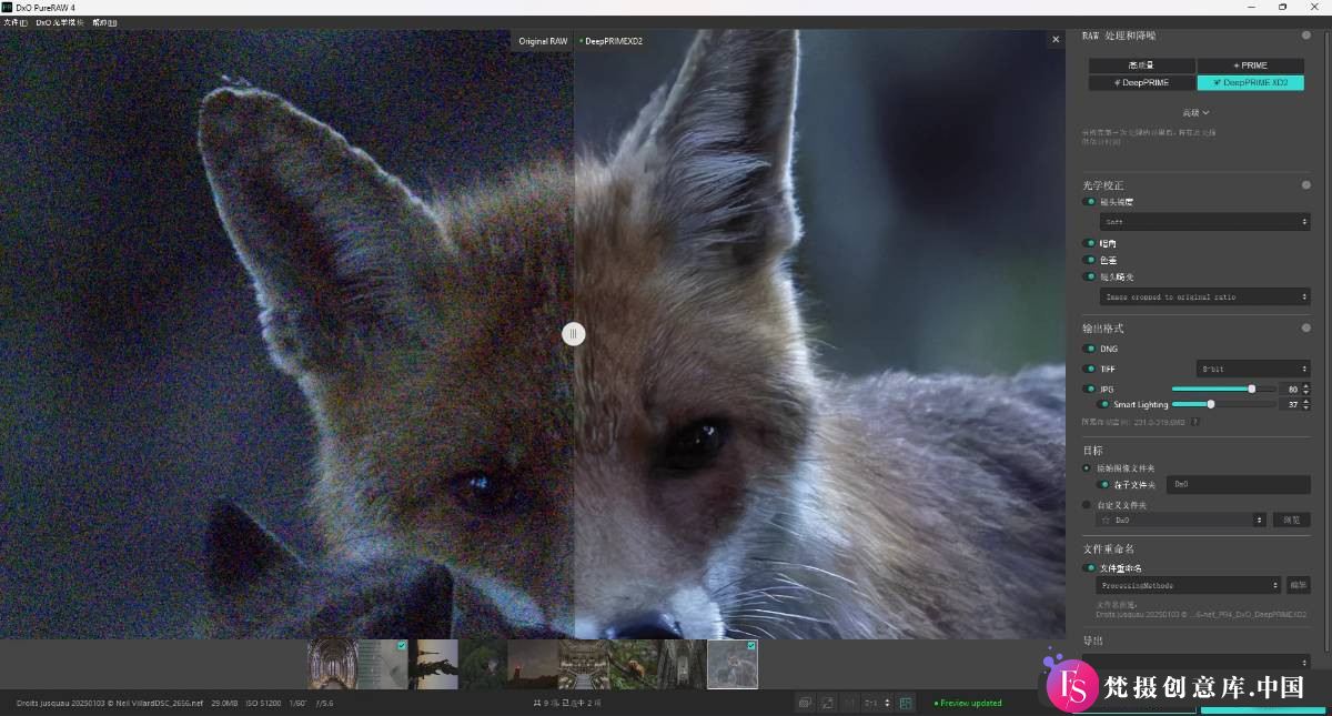 图片[2]-DxO PureRAW V4.7.0.46 中文版平面图像处理软件 WIN 版 - 梵设软件库