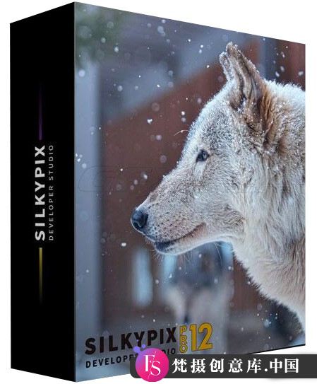 WIN版SILKYPIX Developer Studio Pro 12.0.4.0 x64图片处理RAW图像软件汉化版