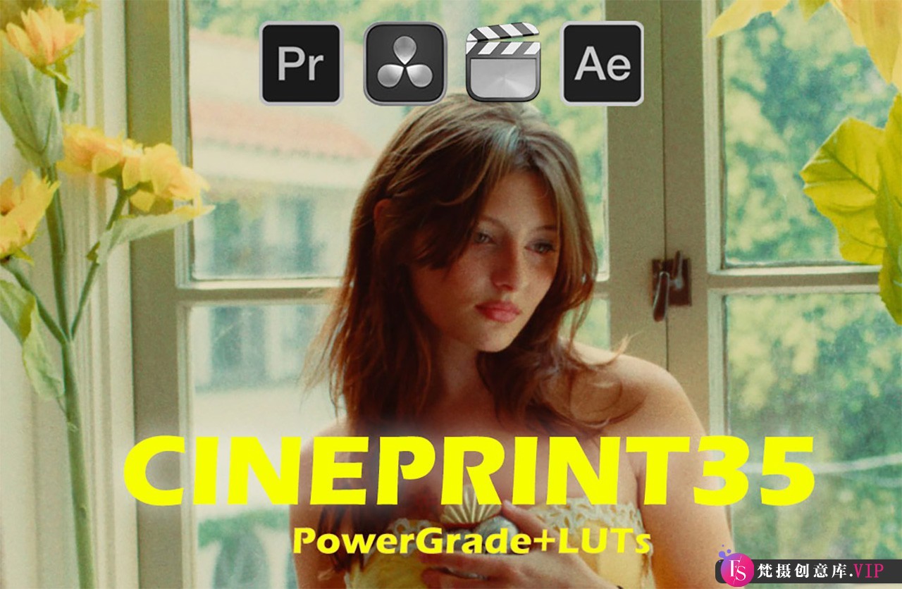 复古电影胶片模拟预设达芬奇CINEPRINT35节点LUT