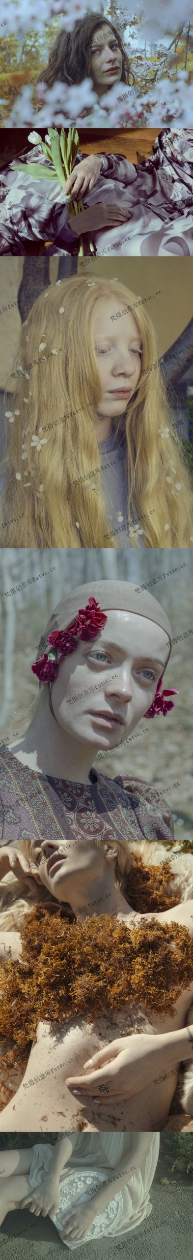 图片[1]-MichelleDeRose自然摄影集生态视觉作品集电子灵感图集505P-872.97 MB-梵摄创意库
