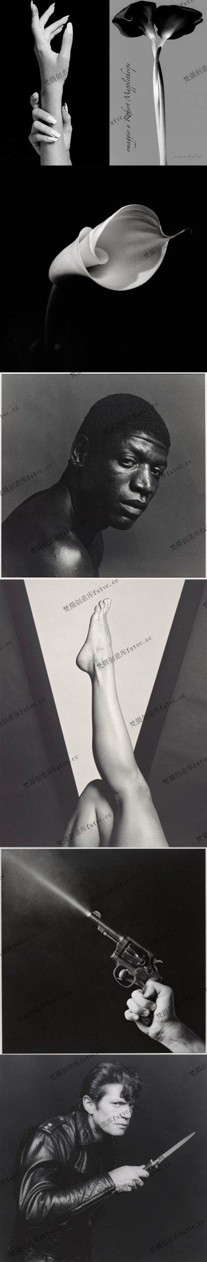 RobertMapplethorpe欧美黑白人像摄影大师经典作品集639P-234.81 MB
