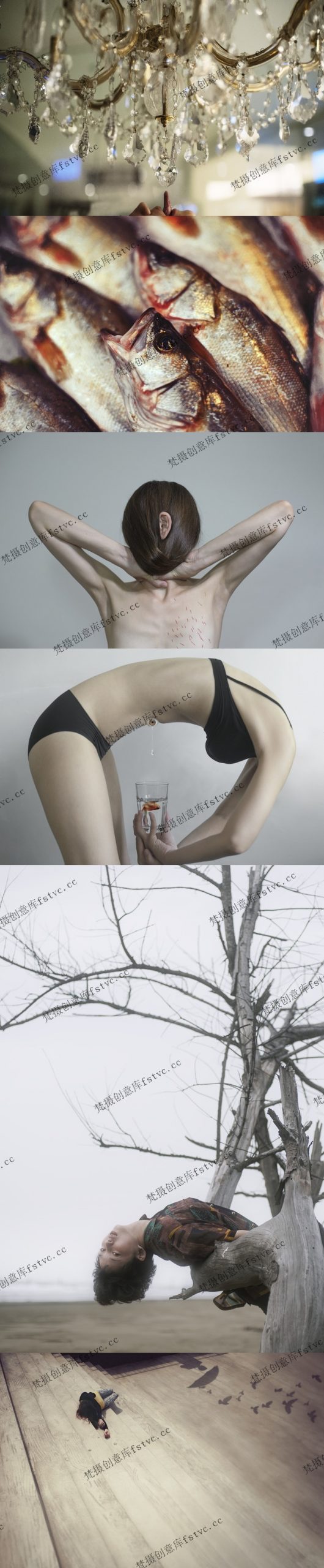 YungChengLin东方美学人像摄影作品电子版素材包1047P-152.95 MB