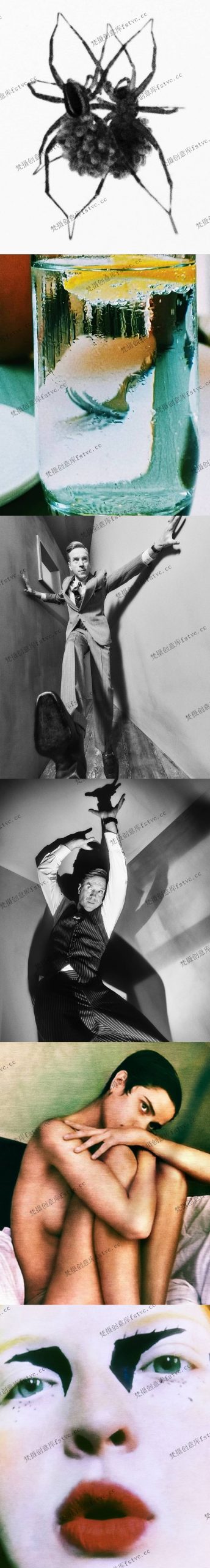 图片[1]-Elizaveta Porodina摄影作品集电子合集图集审美提升[295P-8V 82.98 MB]-梵摄创意库