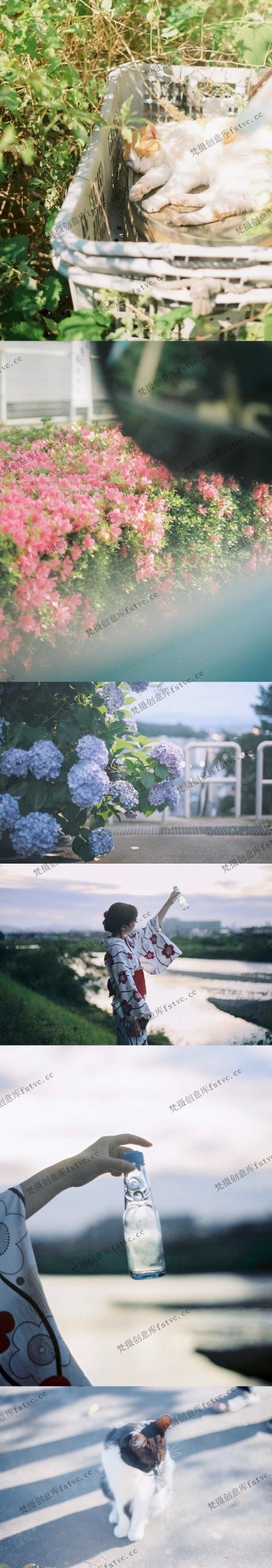 图片[1]-aprico7日系摄影电子合集作品集图集审美提升素材合集[321P-47.65 MB]-梵摄创意库