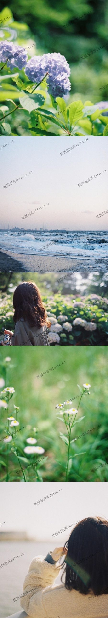 图片[1]-concon_life日系家庭摄影作品集电子合集胶片审美提升素材[222P-17.96 MB]-梵摄创意库