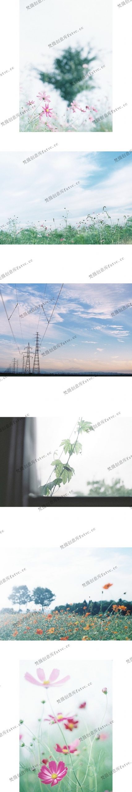 hanacohan日系摄影大师作品集电子合集审美素材图集集[1442P-4V 157.17 MB]